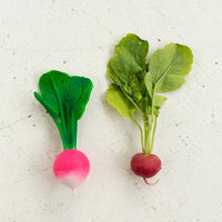 OLI&CAROL Kauspielzeug RAMONA THE RADISH
